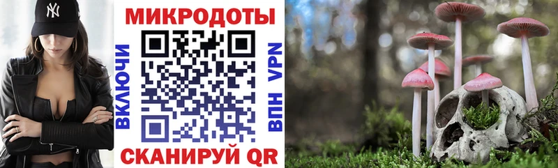 Галлюциногенные грибы прущие грибы  Кунгур 